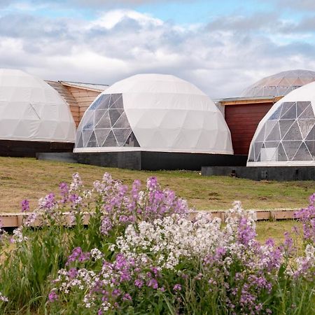 Garden Domes Villa Puerto Natales Eksteriør bilde