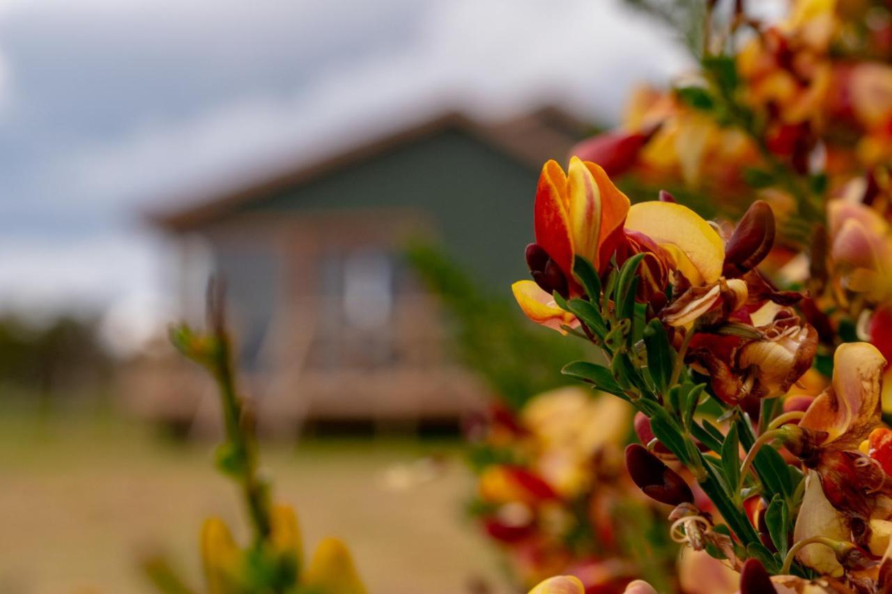 Garden Domes Villa Puerto Natales Eksteriør bilde