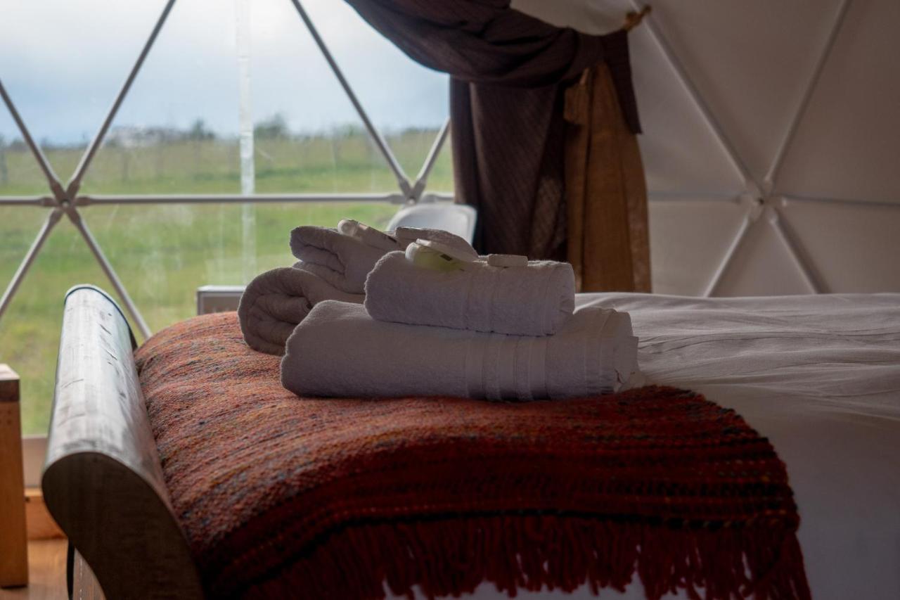 Garden Domes Villa Puerto Natales Eksteriør bilde
