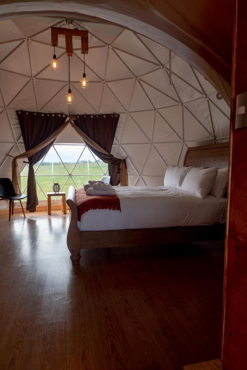 Garden Domes Villa Puerto Natales Eksteriør bilde