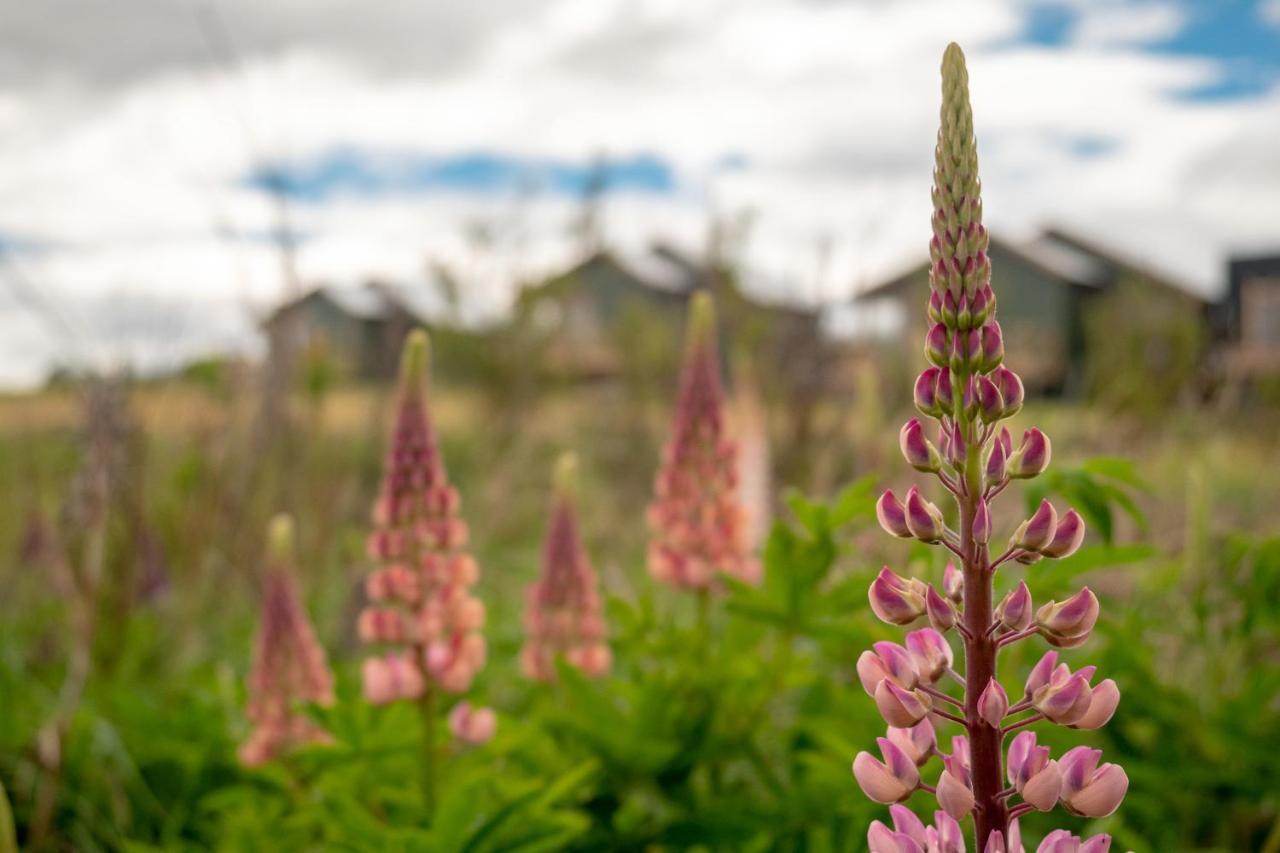Garden Domes Villa Puerto Natales Eksteriør bilde