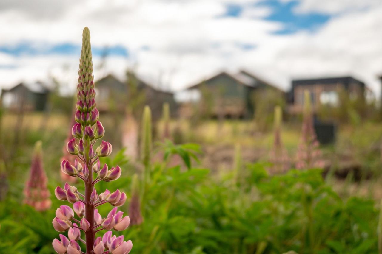 Garden Domes Villa Puerto Natales Eksteriør bilde