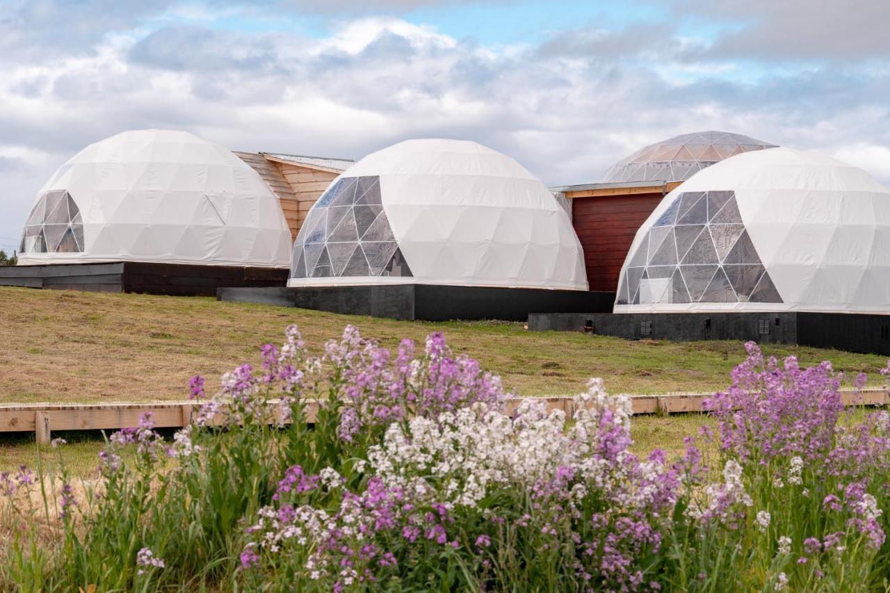Garden Domes Villa Puerto Natales Eksteriør bilde