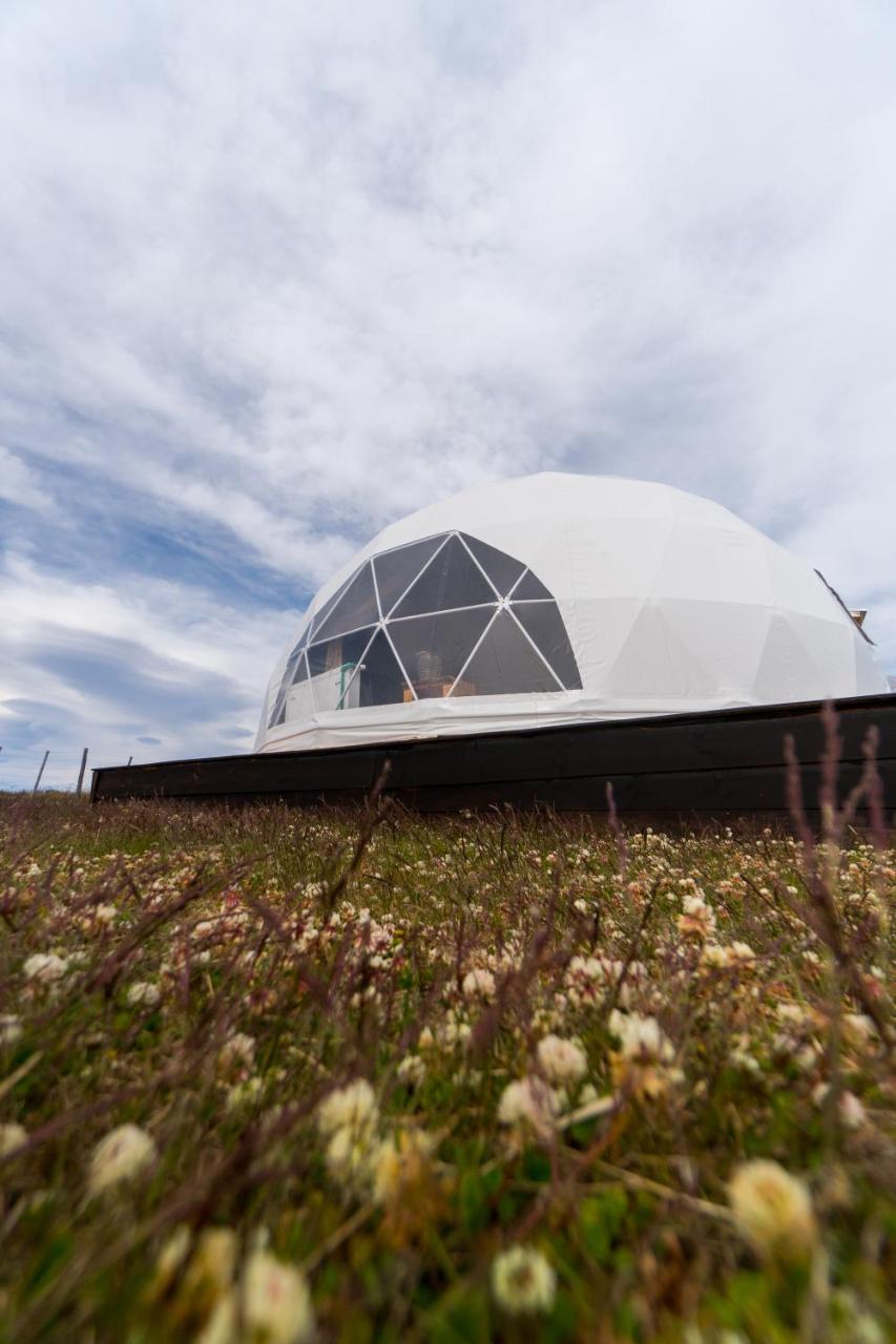 Garden Domes Villa Puerto Natales Eksteriør bilde